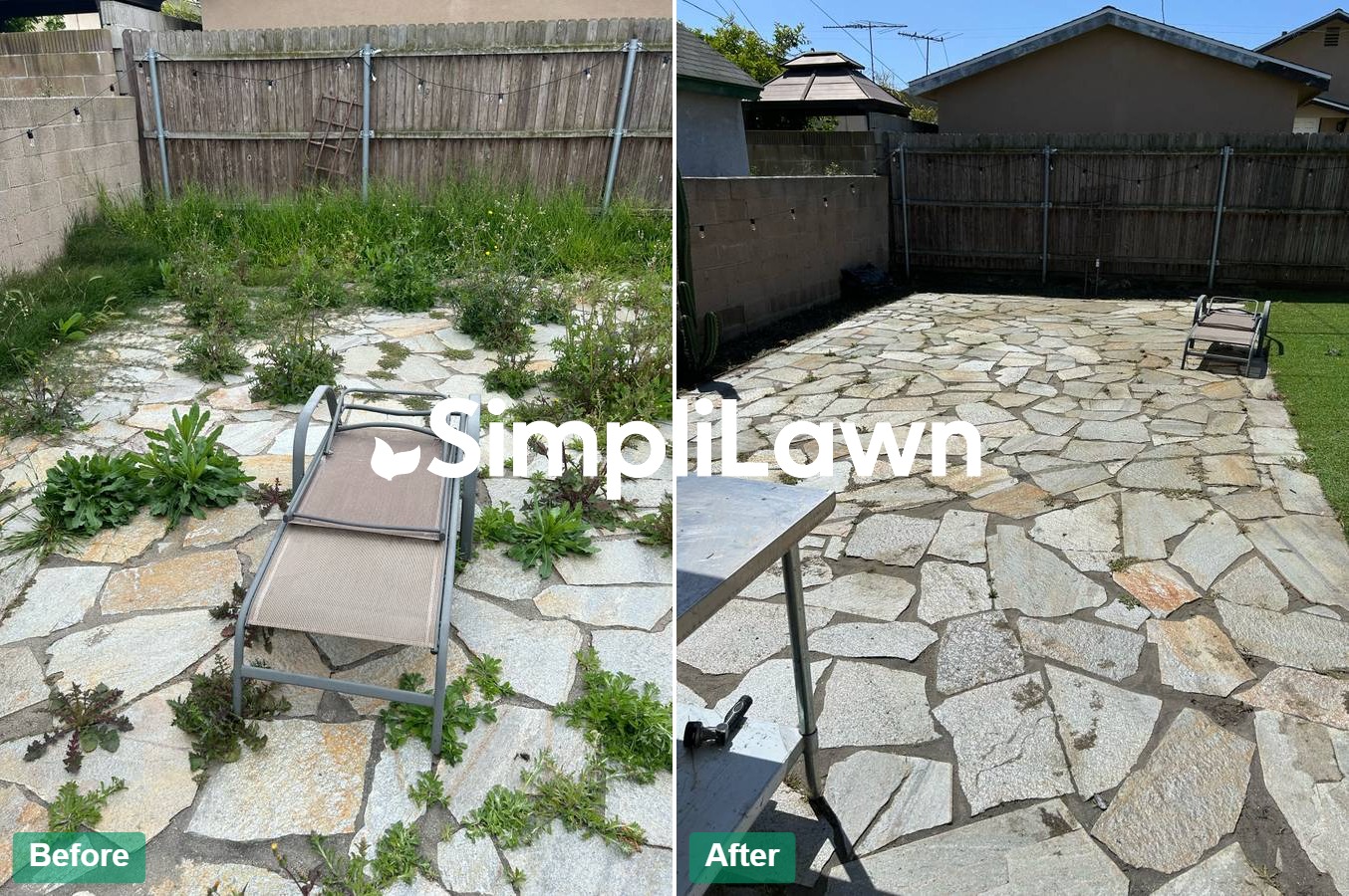 Hardscape — Flagstone patio reclaimed from overgrowth, Philadelphia, PA