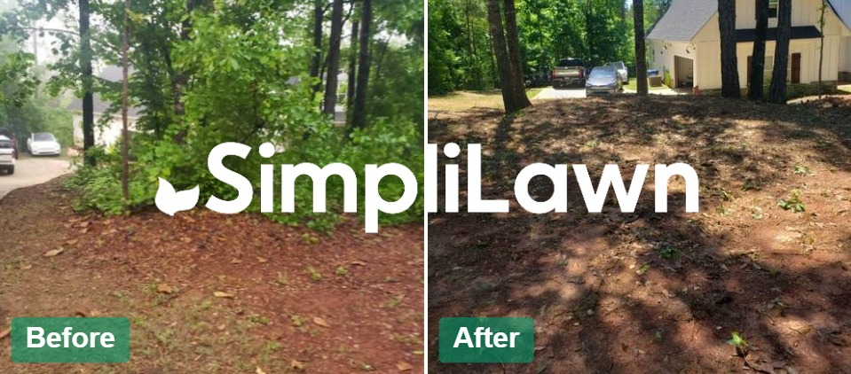 Yard Cleanup — Wooded lot cleared of brush & debris, Philadelphia, PA