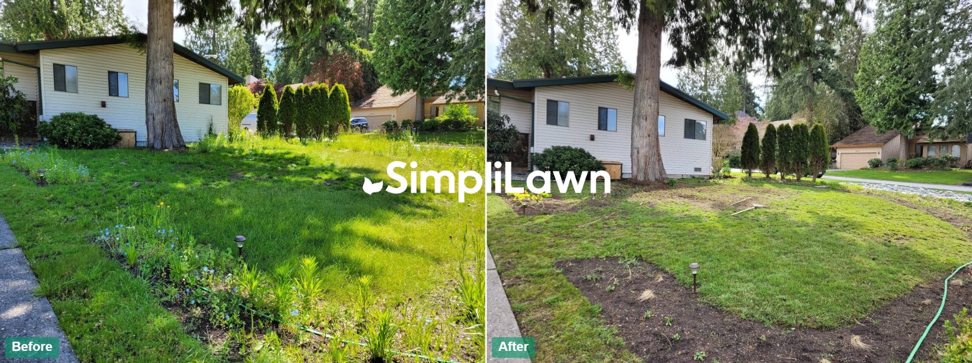 Landscaping — Overgrown front beds reshaped to clean turf, Dallas, TX