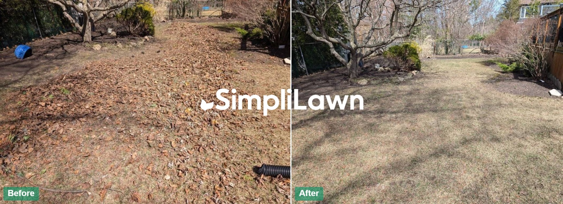 Seasonal Cleanup — Backyard leaf haul before winter, Houston, TX
