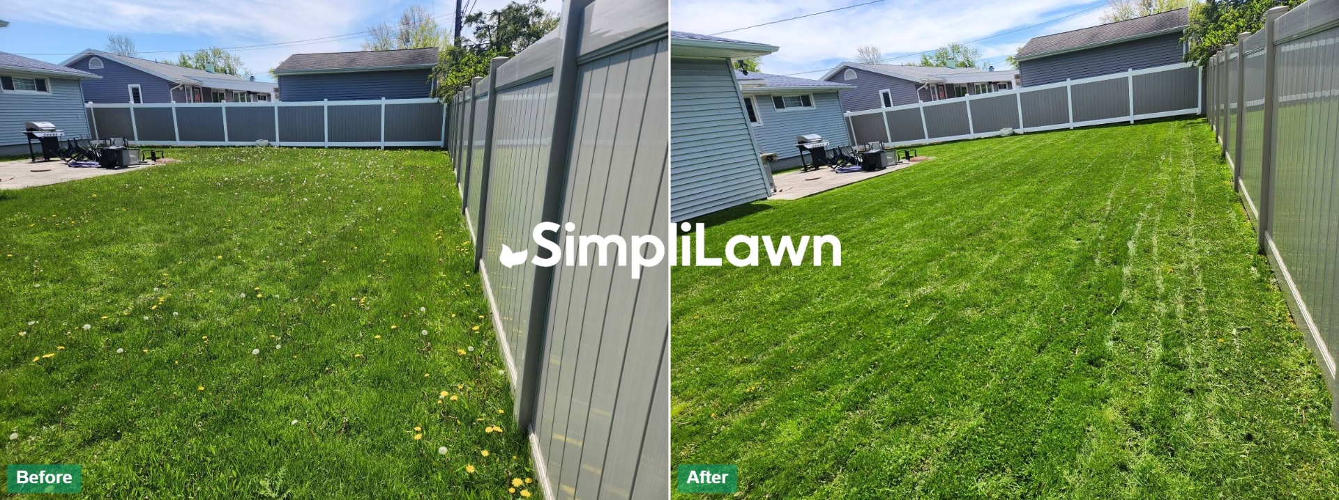 Before and after lawn transformation