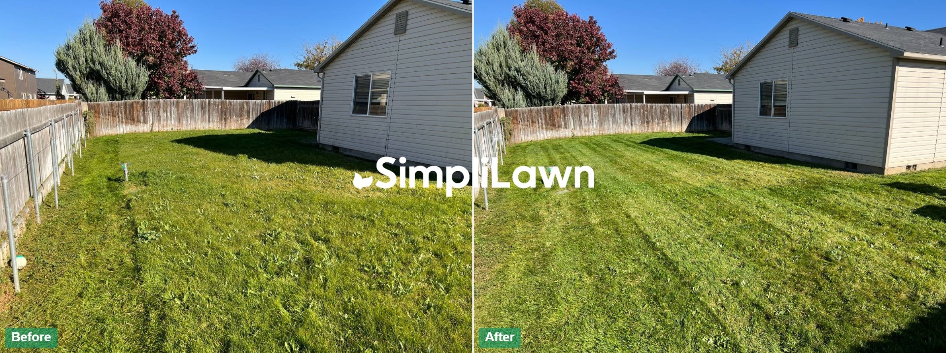 Lawn Mowing — Side-yard mow with crisp finish lines, Pittsburgh, PA