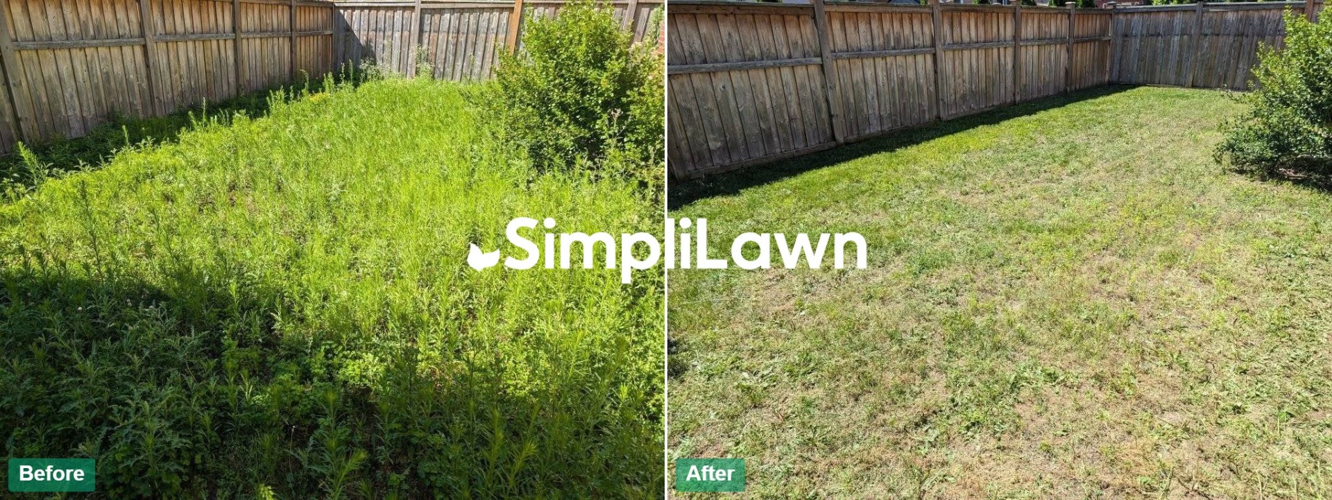 Weed Control — Knee-high weeds cleared from fenced yard, Baltimore, MD