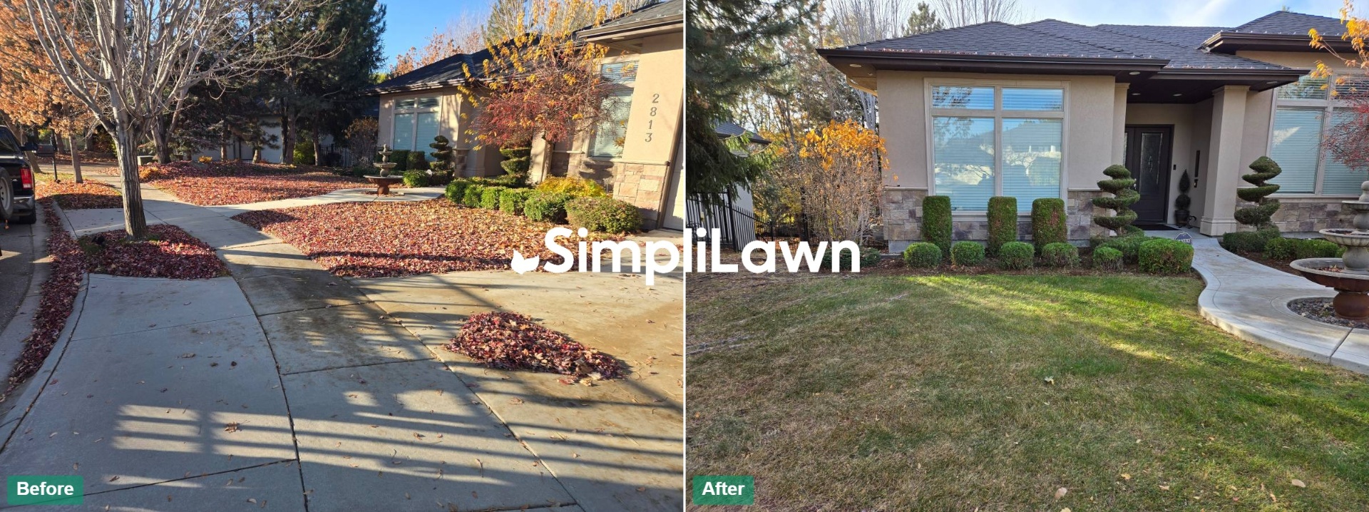 Seasonal Cleanup — Driveway leaf removal & front lawn cleanup, Orlando, FL