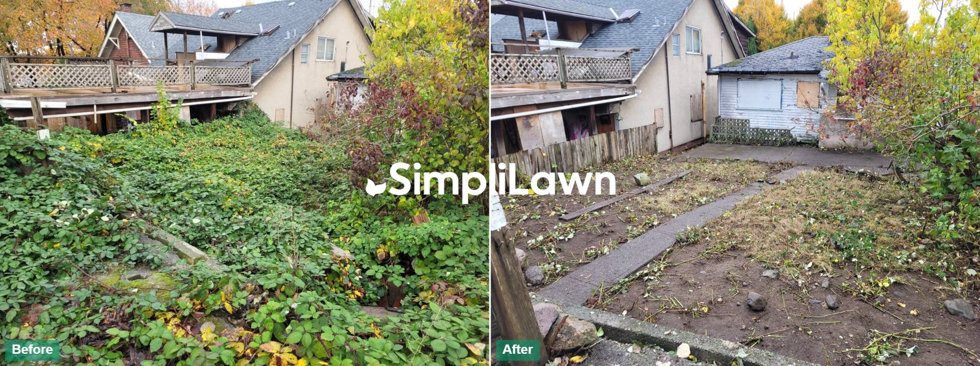 Yard Cleanup — Overgrown back lot cleared to bare ground, Jersey City, NJ
