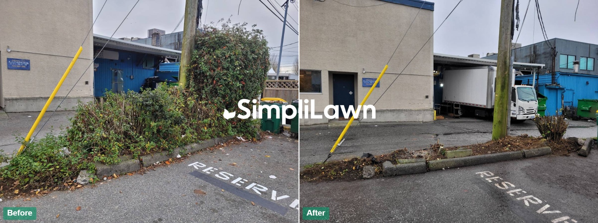 Yard Cleanup — Commercial alley clearing for delivery access, Arlington, VA