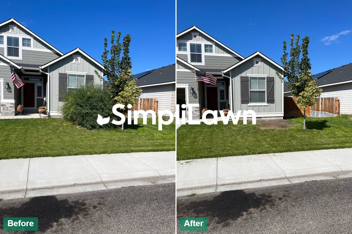 Landscaping — Overgrown shrub removed, lawn restored, Bethesda, MD