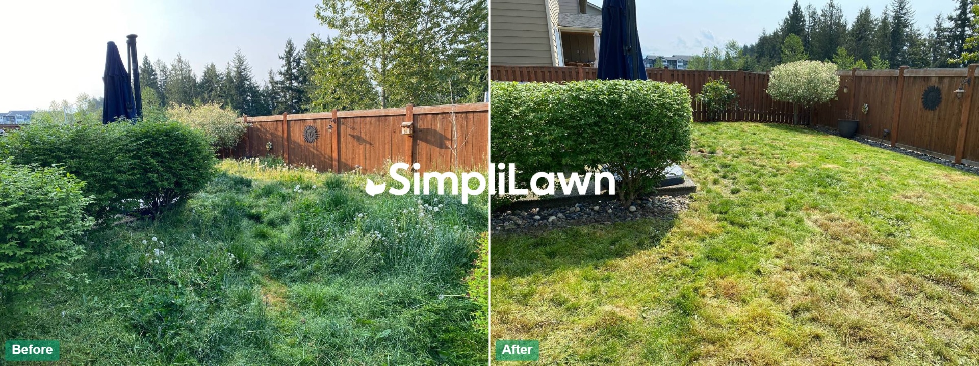 Lawn Mowing — Knee-high weeds reset to clean turf, San Francisco, CA