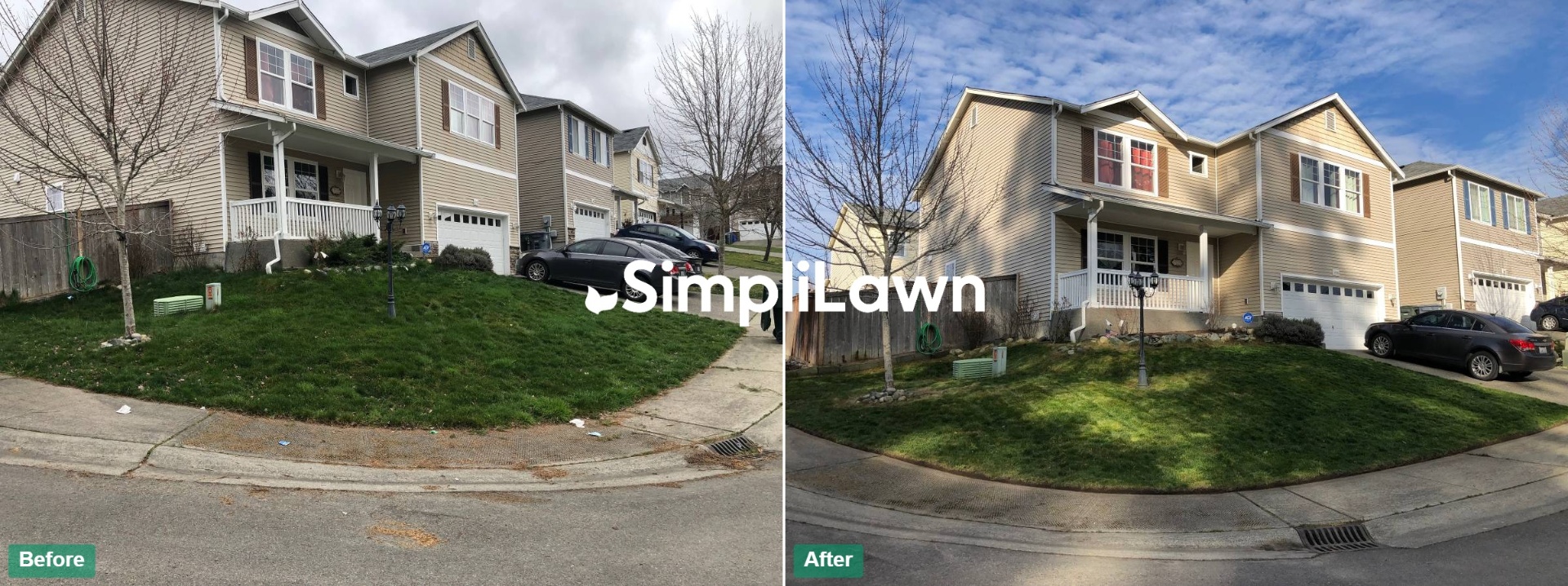 Lawn Mowing — Corner-lot lawn revived to lush green, Princeton, NJ