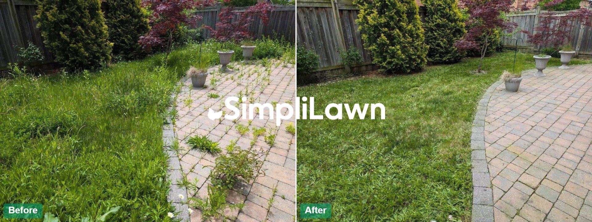 Lawn Mowing — Paver path edged, grass cut & defined, Houston, TX