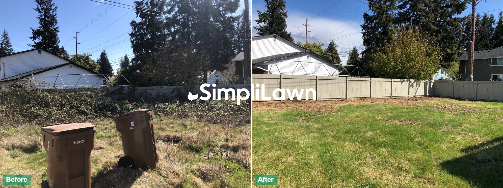 Yard Cleanup — Back lot cleared and lawn restored, Austin, TX