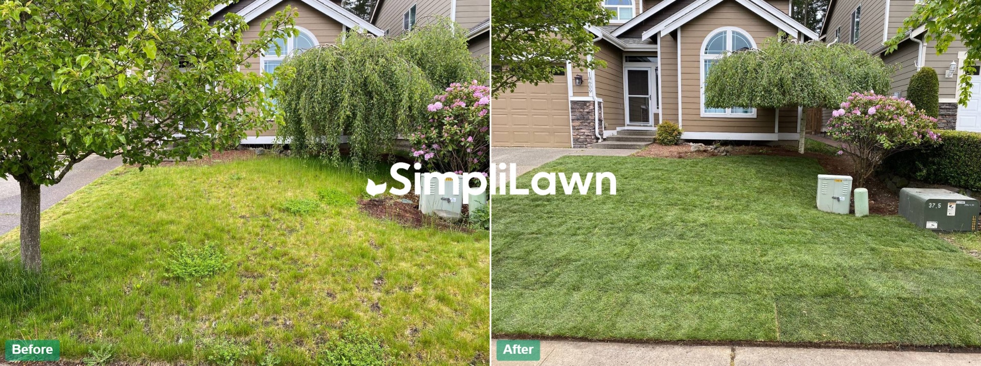 Landscaping — Front lawn re-sodded to perfect green, Baltimore, MD
