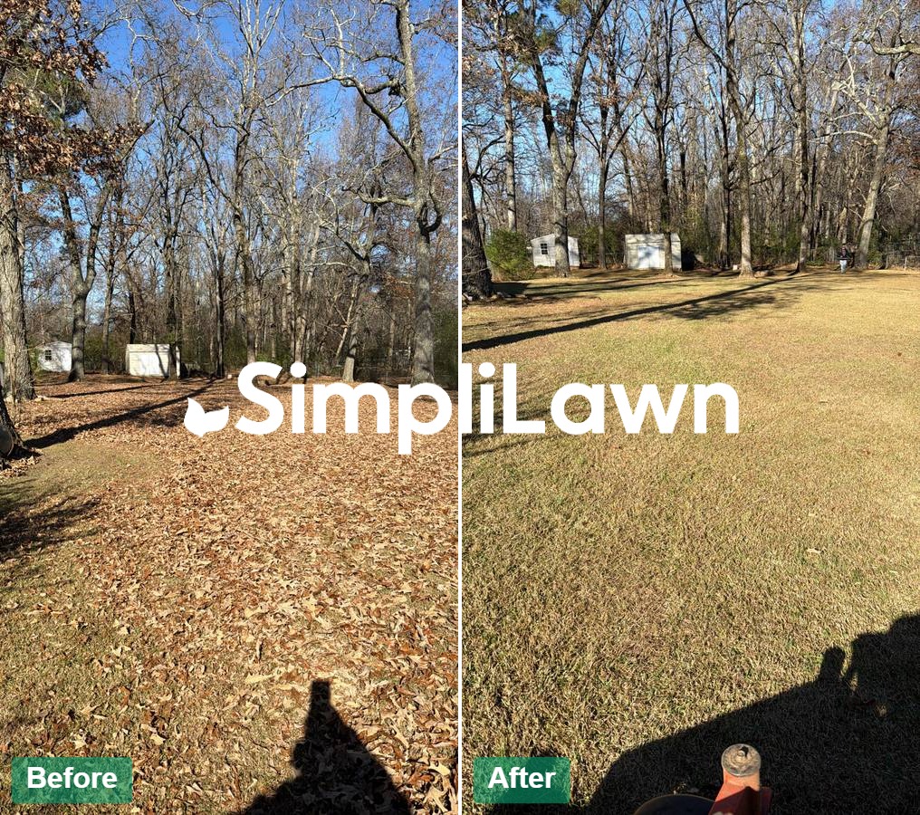 Seasonal Cleanup — Acre yard cleared of leaf coverage, Philadelphia, PA