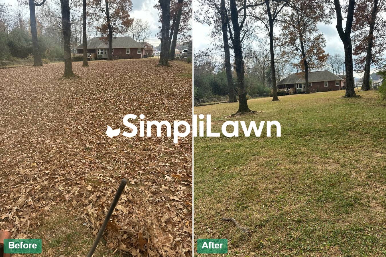 Seasonal Cleanup — Estate lawn revealed after leaf removal, Miami, FL
