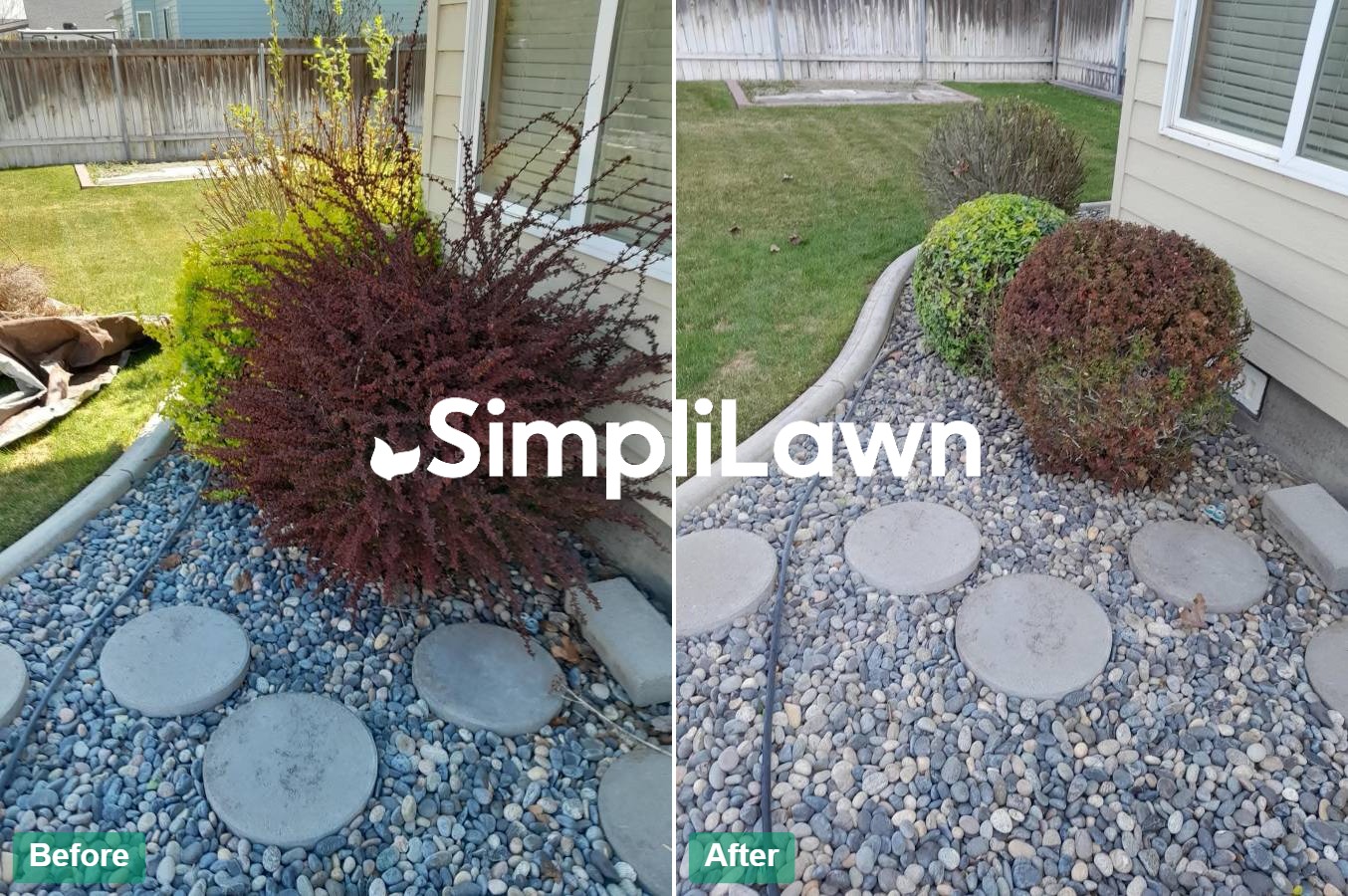 Landscaping — Front bed reshaped with tidy boxwoods, Washington, DC