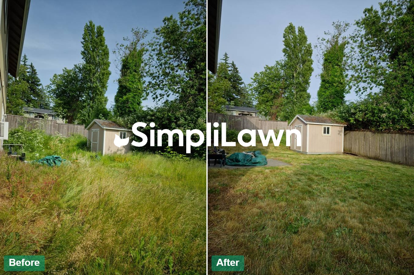 Lawn Mowing — Tall-grass backyard tamed around shed, Los Angeles, CA