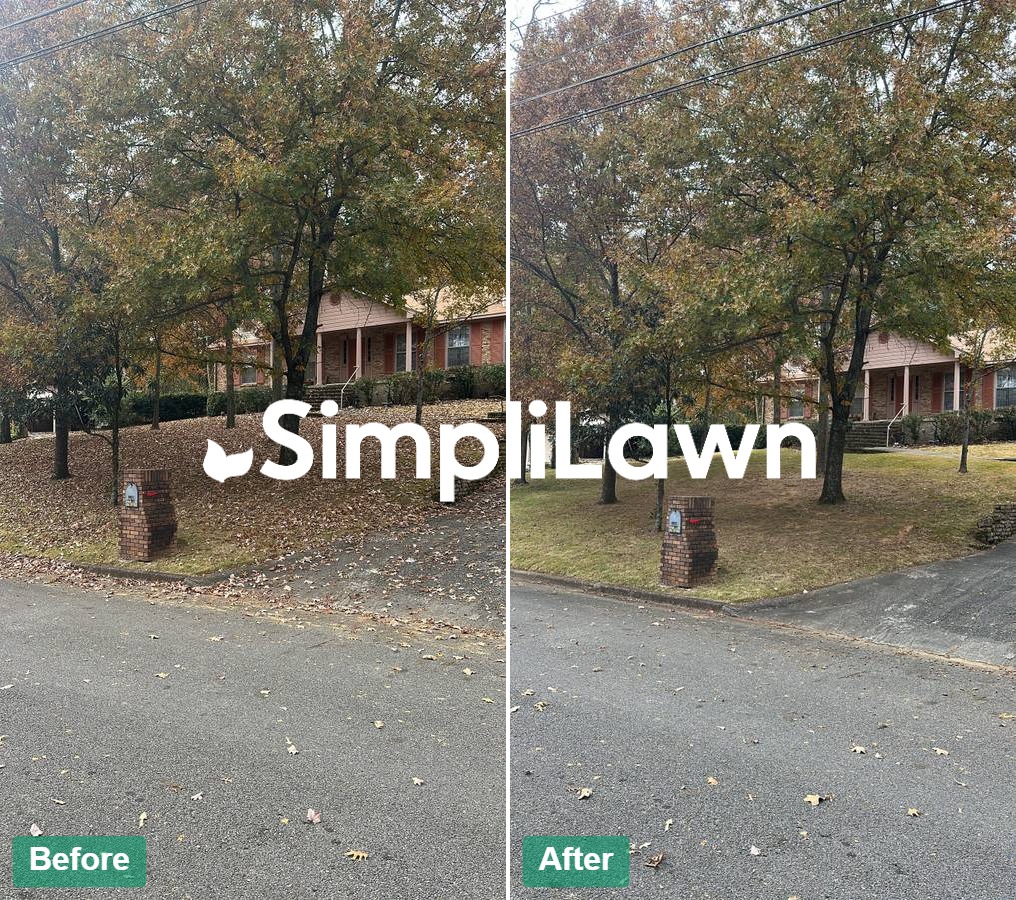 Seasonal Cleanup — Front yard cleared of fallen leaves, Bethesda, MD