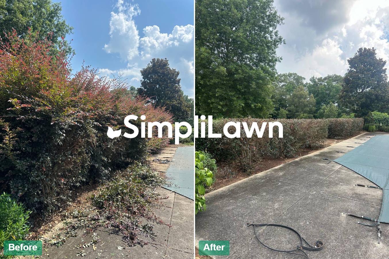 Landscaping — Overgrown hedges trimmed to crisp lines, Orlando, FL
