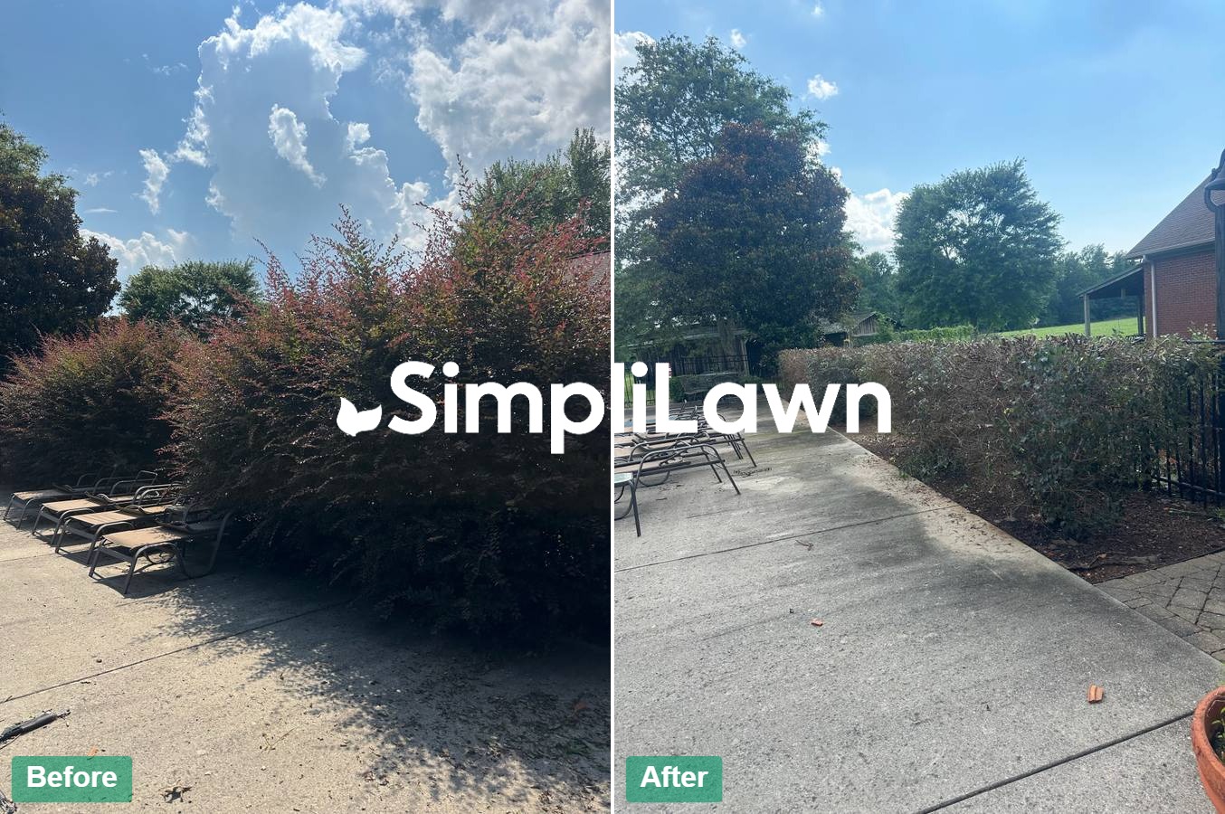 Landscaping — Patio hedges shaped, debris cleared, Princeton, NJ