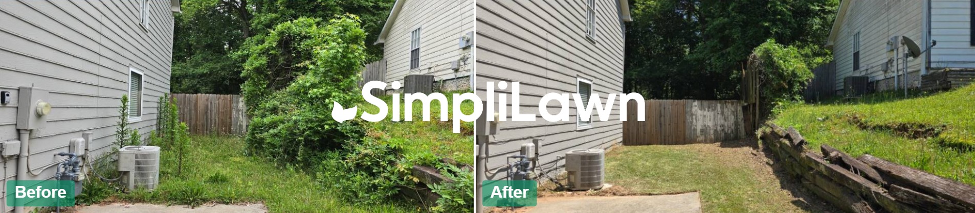 Yard Cleanup — Side yard cleared of vines & brush, Baltimore, MD