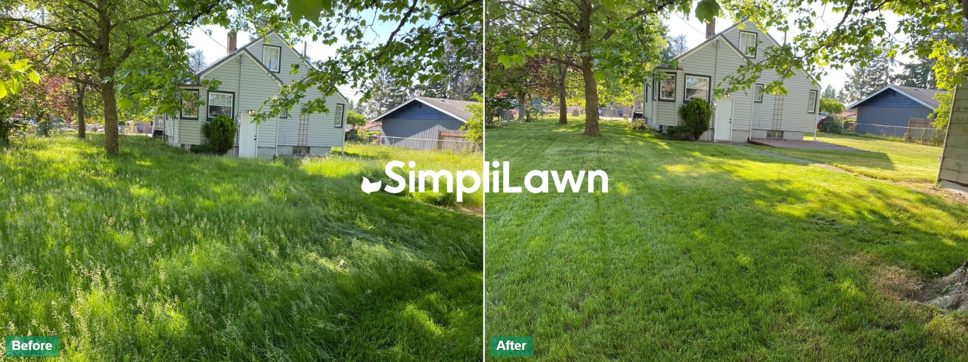 Before and after lawn transformation