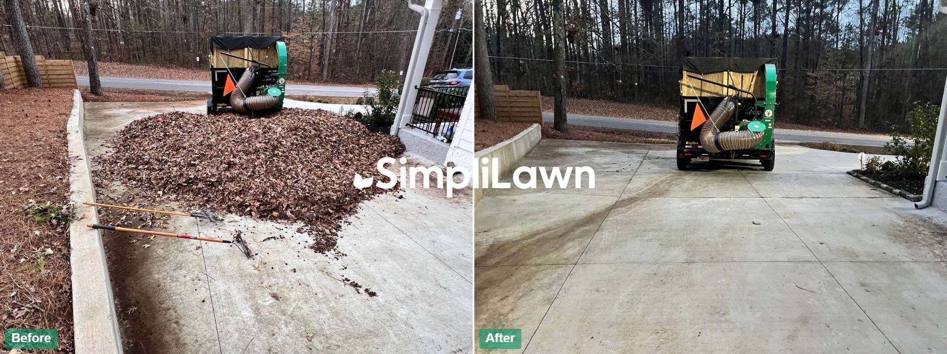 Seasonal Cleanup — Driveway leaf vacuum & full removal, Washington, DC