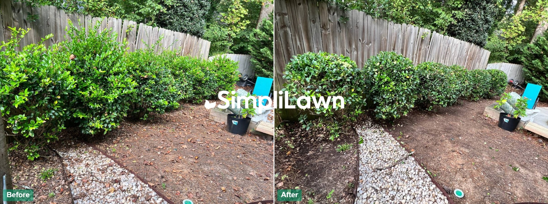 Landscaping — Hedges trimmed to neat rounded shapes, Arlington, VA
