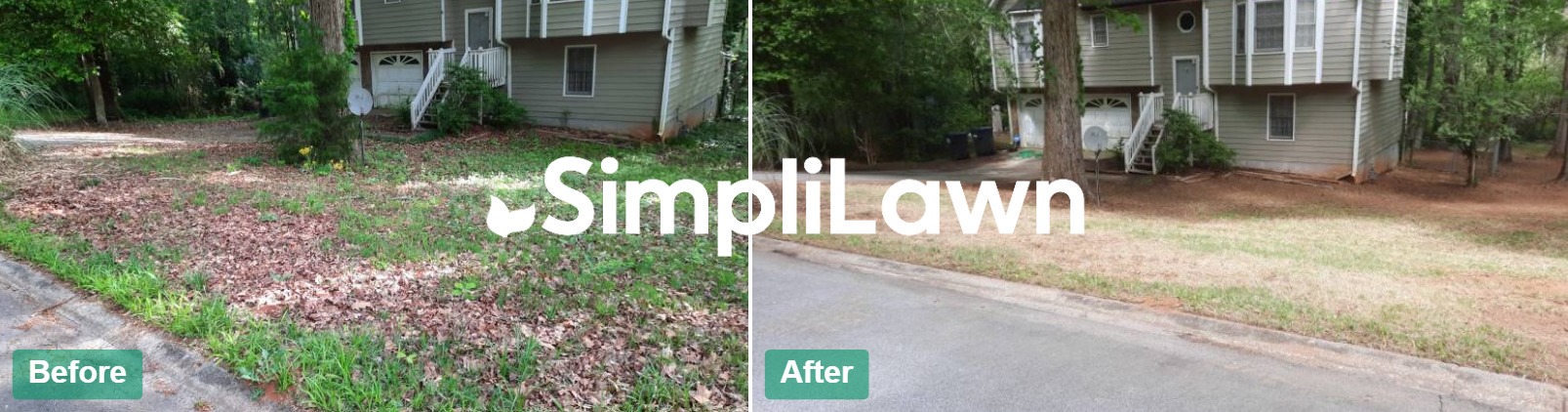 Seasonal Cleanup — Leaf-strewn front yard cleared to curb, Houston, TX