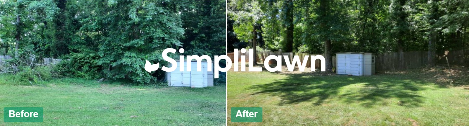 Yard Cleanup — Wooded back lot cleared, lawn revealed, Bethesda, MD