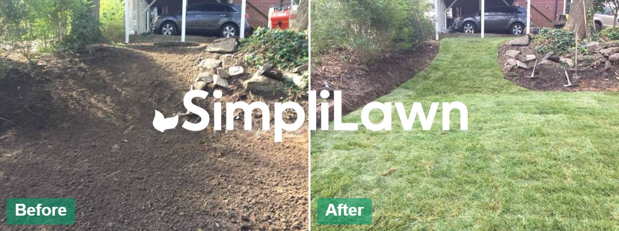 Before and after lawn transformation