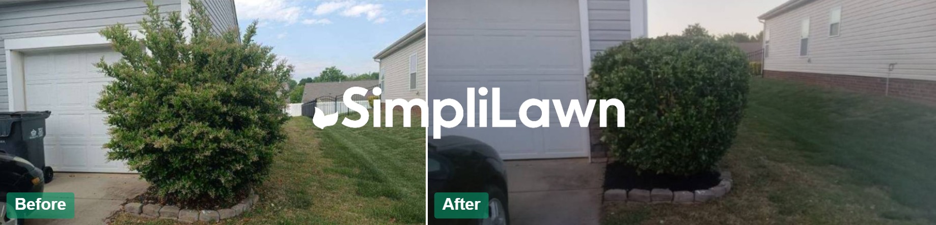 Landscaping — Overgrown shrub shaped to clean dome, Princeton, NJ