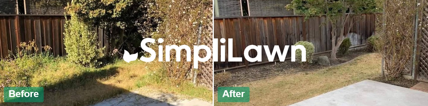 Yard Cleanup — Side yard cleared & lawn restored, San Francisco, CA