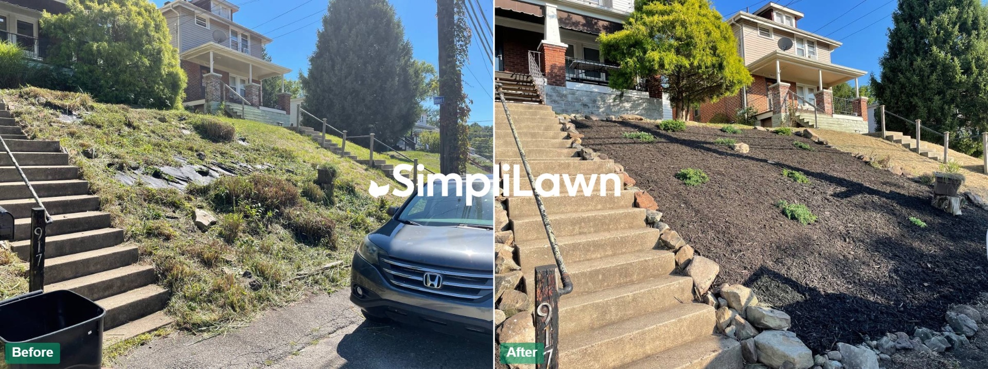 Landscaping — Hillside cleared, mulched & replanted, Austin, TX