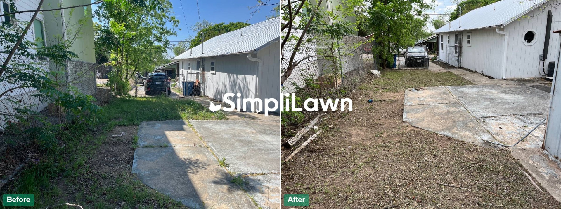 Yard Cleanup — Side yard brush cleared down to bare ground, Washington, DC