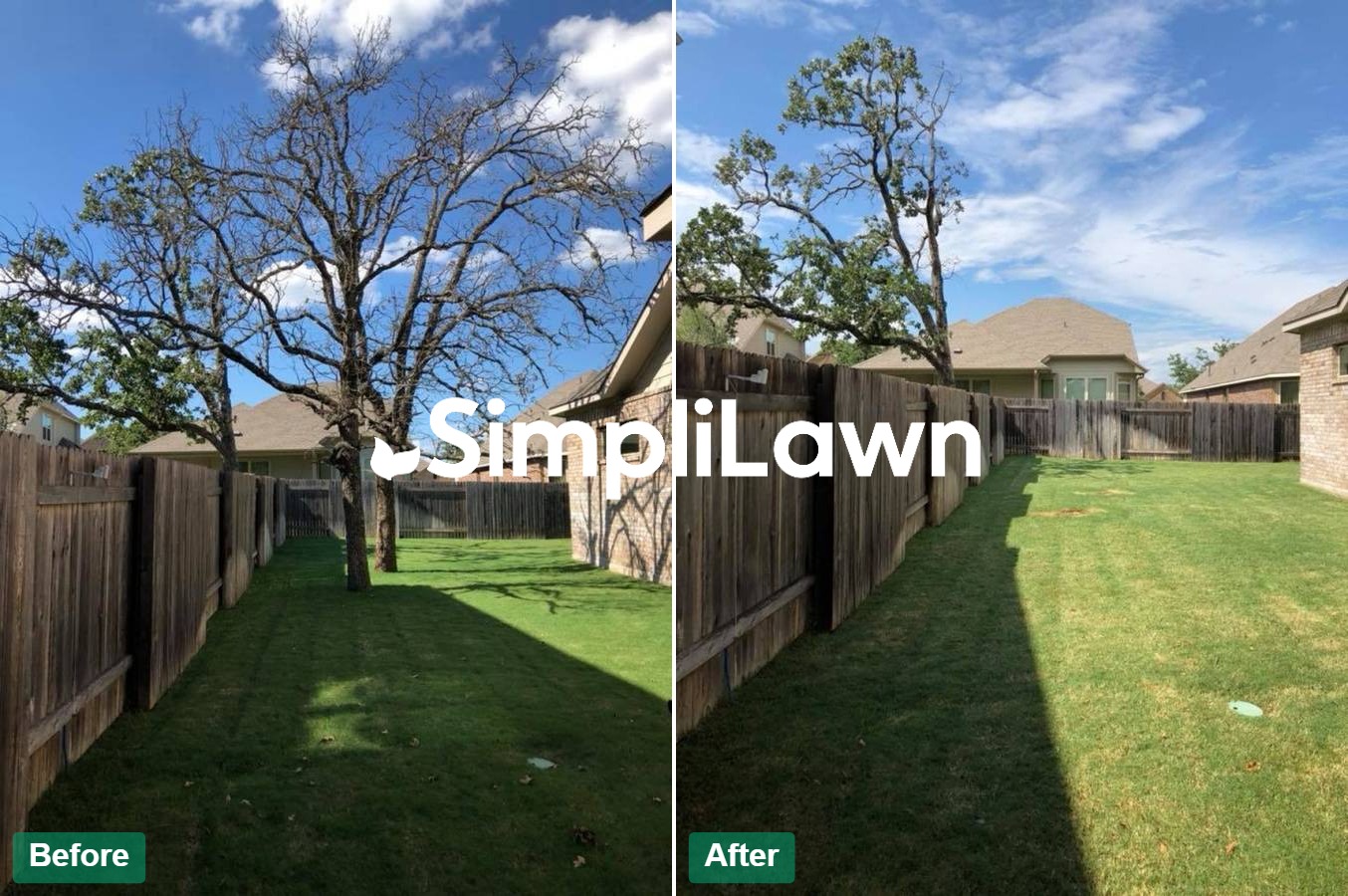 Yard Cleanup — Dead tree removed from fenced side lawn, Arlington, VA