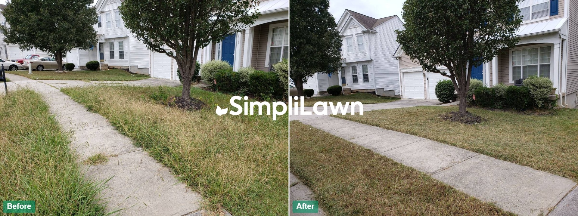 Lawn Mowing — Sidewalk lawn mowed and edged to clean lines, Pittsburgh, PA