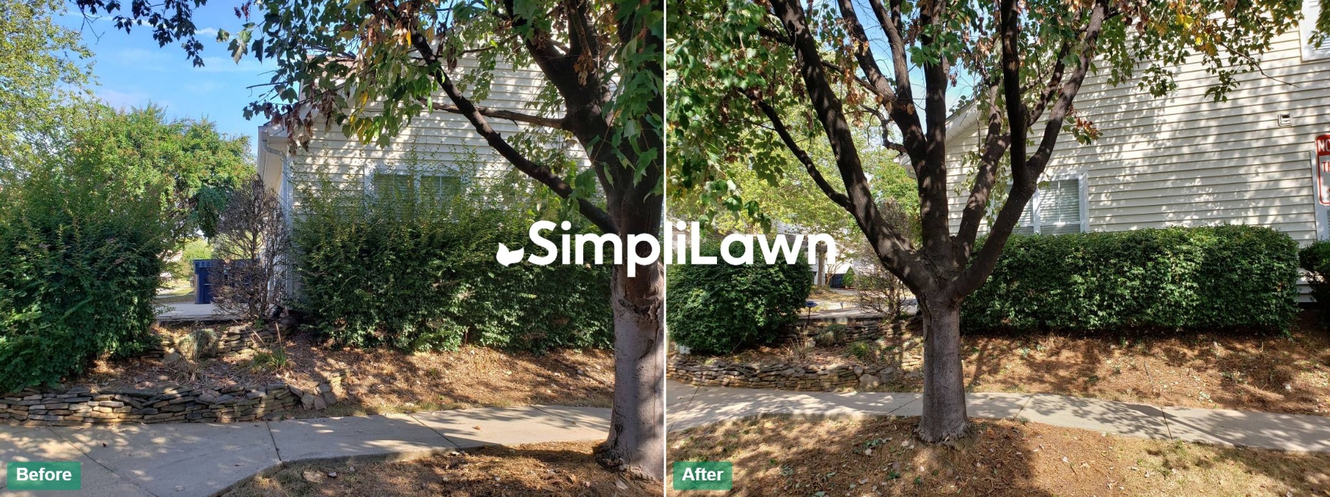 Landscaping — Hedge row trimmed flat along front walkway, Orlando, FL