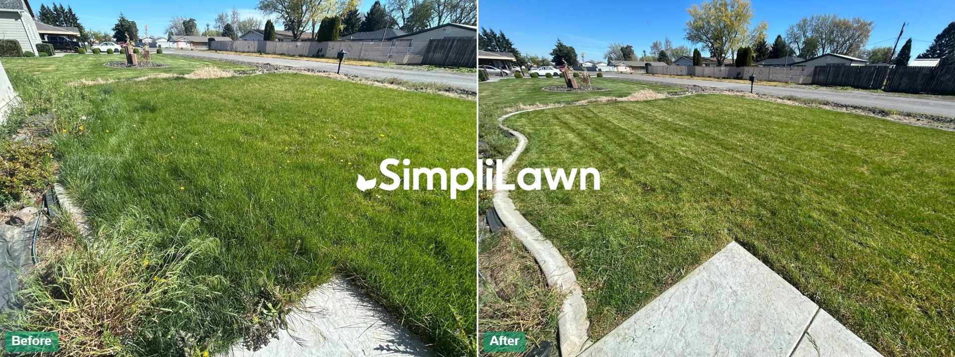 Lawn Mowing — Striped front lawn after weed-pull, Princeton, NJ