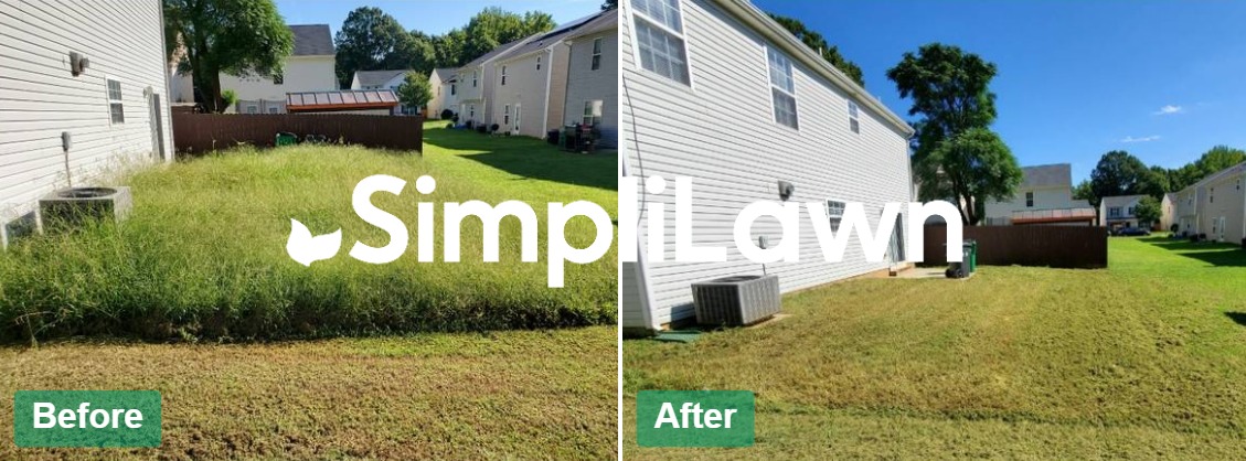 Before and after lawn transformation