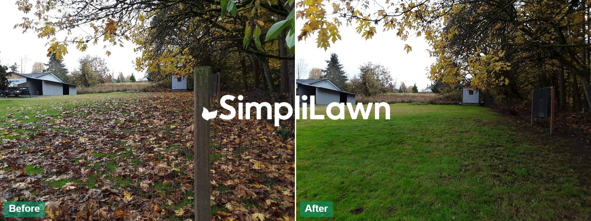 Before and after lawn transformation