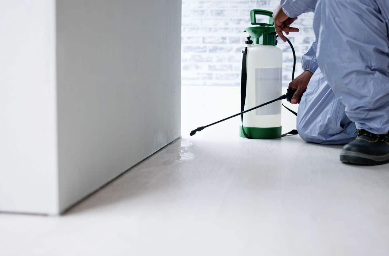 Termite control in action